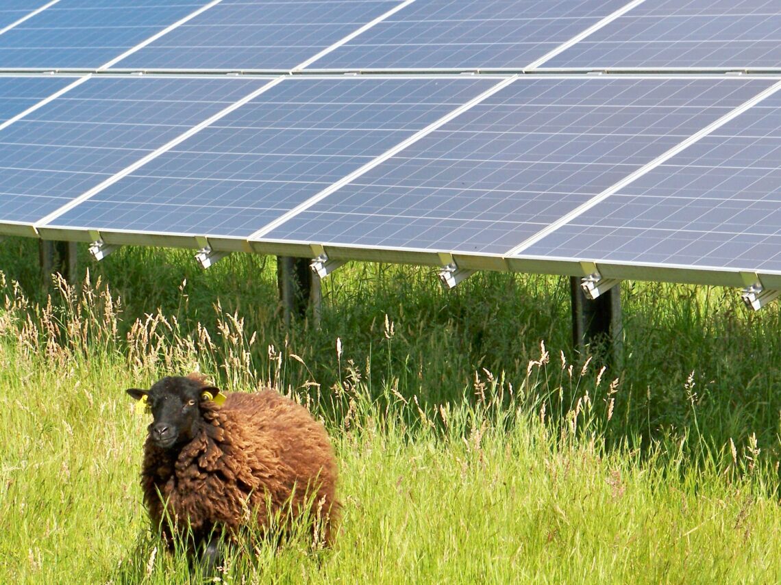 centrale au sol dans la ville de Guitinières