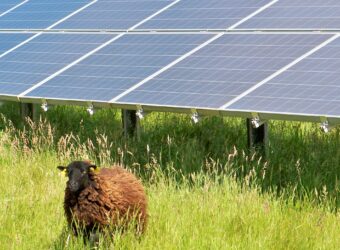 centrale au sol dans la ville de Guitinières